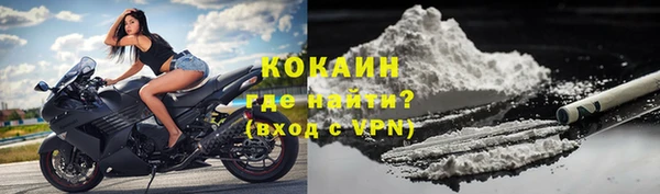 СК Новодвинск