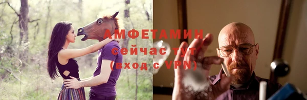 СК Новодвинск