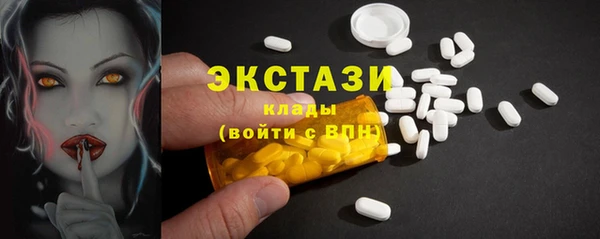 СК Новодвинск