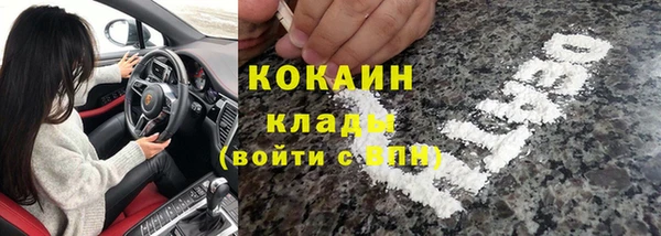 шишки Арсеньев