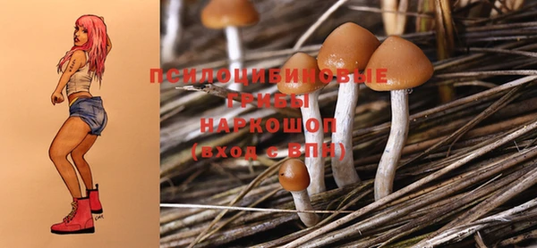 амф Няндома