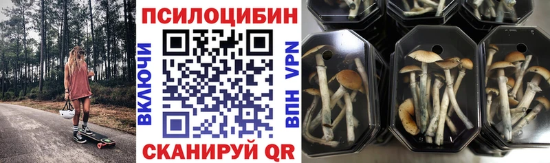 купить Красноуральск блэк спрут зеркало Галлюциногенные грибы Cubensis